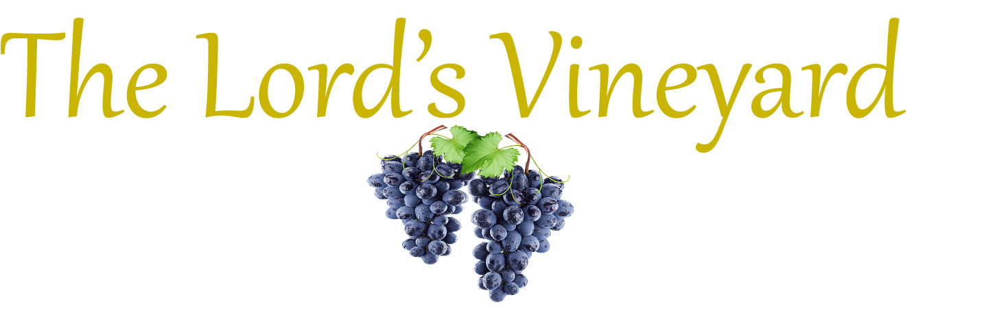 The Lord's Vineyard